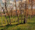 バザンクールの草原 1885年 カミーユ・ピサロ 風景